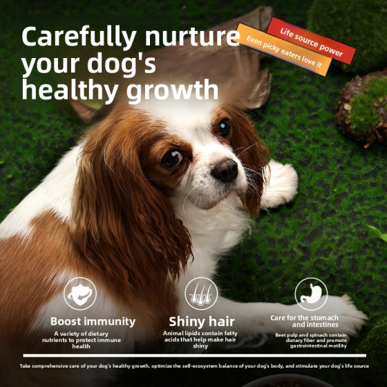 Dog Food Full Price Small Dog Universal Teddy 1.3kg Meat Floss Adult Dog Food