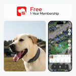 Dog Collar, the most advanced dog wireless fence with AI analysis, precise positioning, 5-day battery life and IP68 waterproof function, provides a flexible virtual fence for dogs