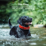 Dog Collar, the most advanced dog wireless fence with AI analysis, precise positioning, 5-day battery life and IP68 waterproof function, provides a flexible virtual fence for dogs